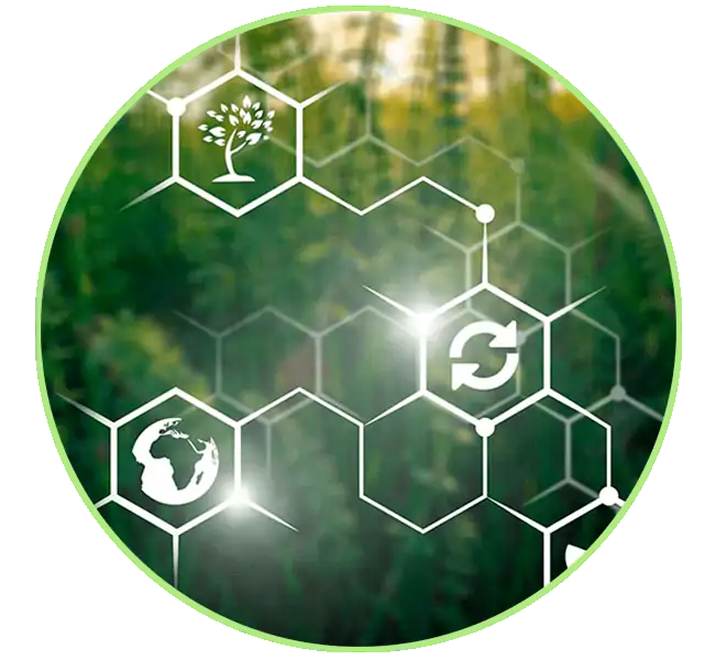 Grup HAM innova en tots els seus productes i serveis GNL, GNC i Biometà Grup HAM desenvolupa avenços innovadors en subministrament de combustible GNL, GNC i Biometà en estacions de servei i indústries