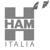 HAM Italia markets LNG for civil, industrial and automotive use; and builds regasification plants and LNG and LNG-C LNG Refuelling Stations.

