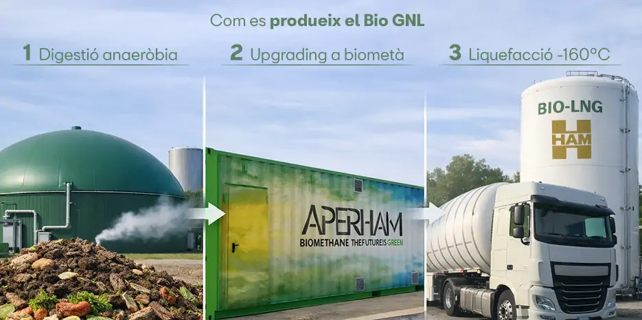 El Bio GNL es produeix a partir de la digestió anaeròbia de residus orgànics, s'obté biogàs que es transforma en biometà a l'upgrading i es liqua a -160 graus